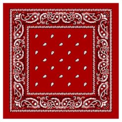 Paisley Red Bandanna - Image 1