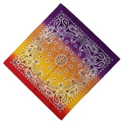 Paisley Tri-Color Purple/Orange Bandanna - Image 1