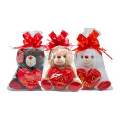 Valentine's Plush 10-inch Bear / $2.50 EACH - Image 1