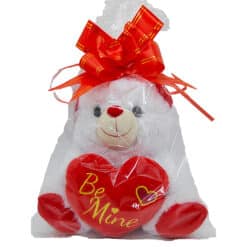 Valentine's Plush 10-inch Bear / $2.50 EACH - Image 3