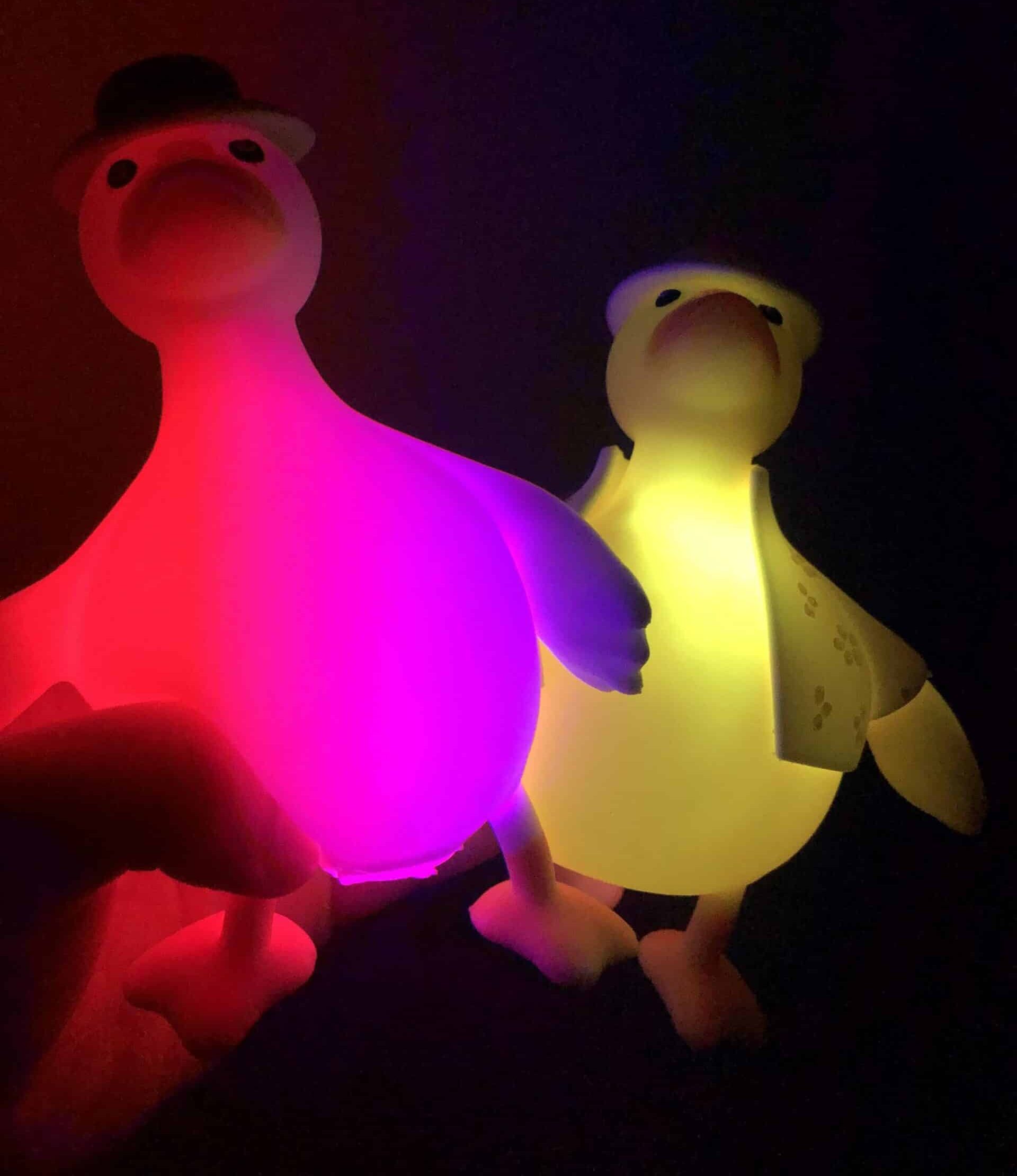 Duck Light Up Toy