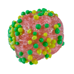 Sweeter Geeks Freeze Dried 1.2oz Bags - Image 4