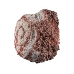 Chocolate swirl piece of Taffy Bombs Freeze Dried Candy closeup can see texture.