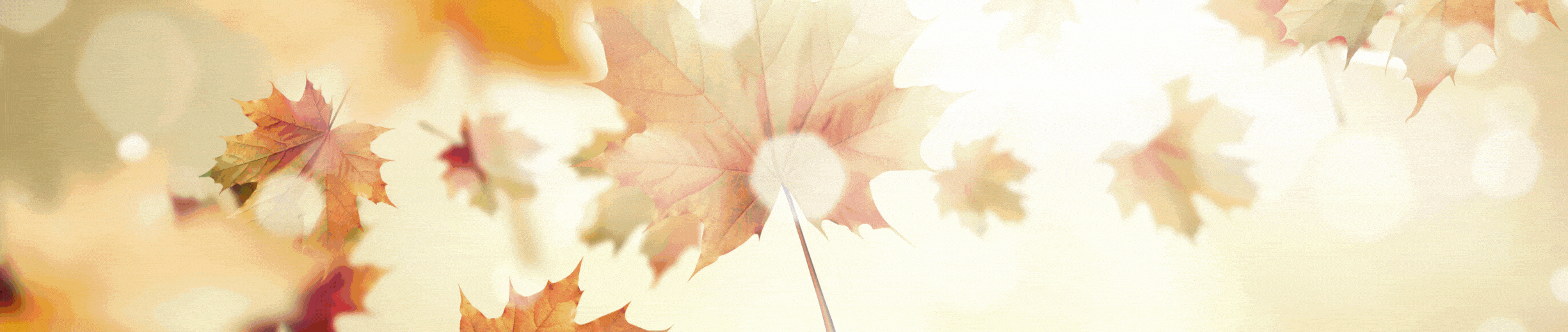 Hello Autumn, Fall Essentials